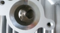 IN